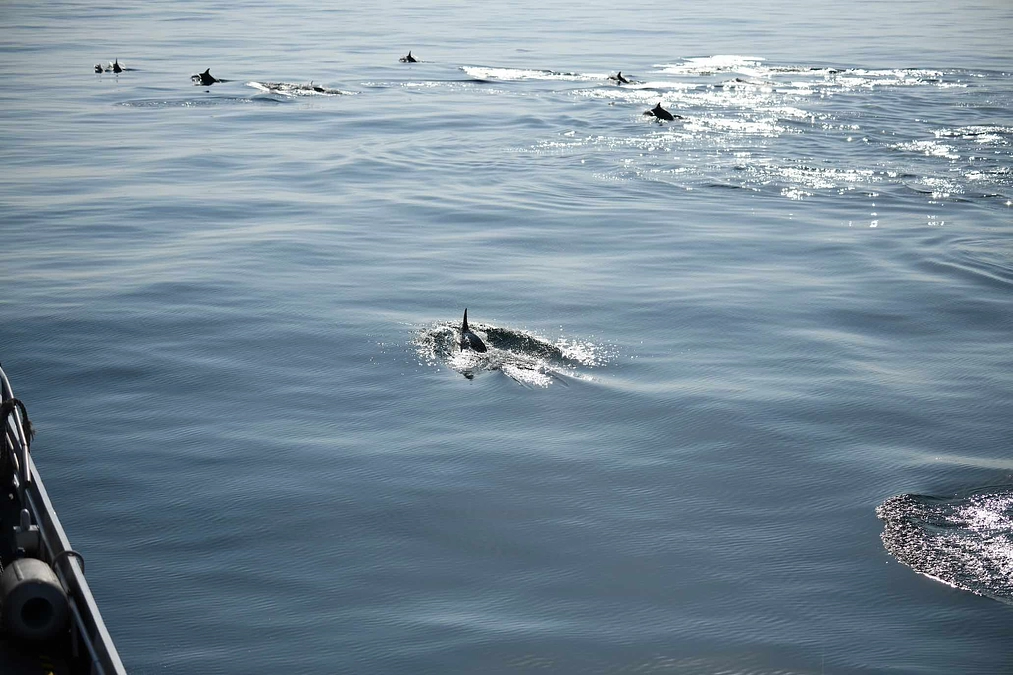 久しぶりの活動報告