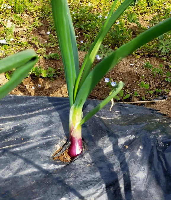 正解ですか？！勉強中