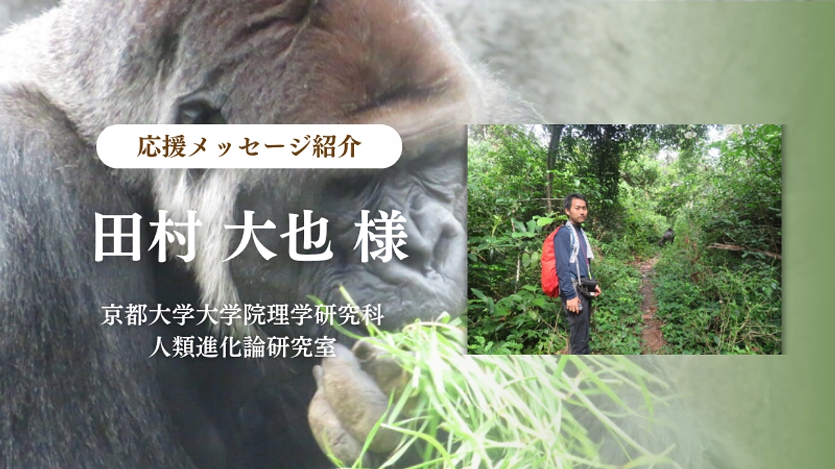 京都大学大学院理学研究科人類進化論研究室 田村 大也様からの応援メッセージのご紹介