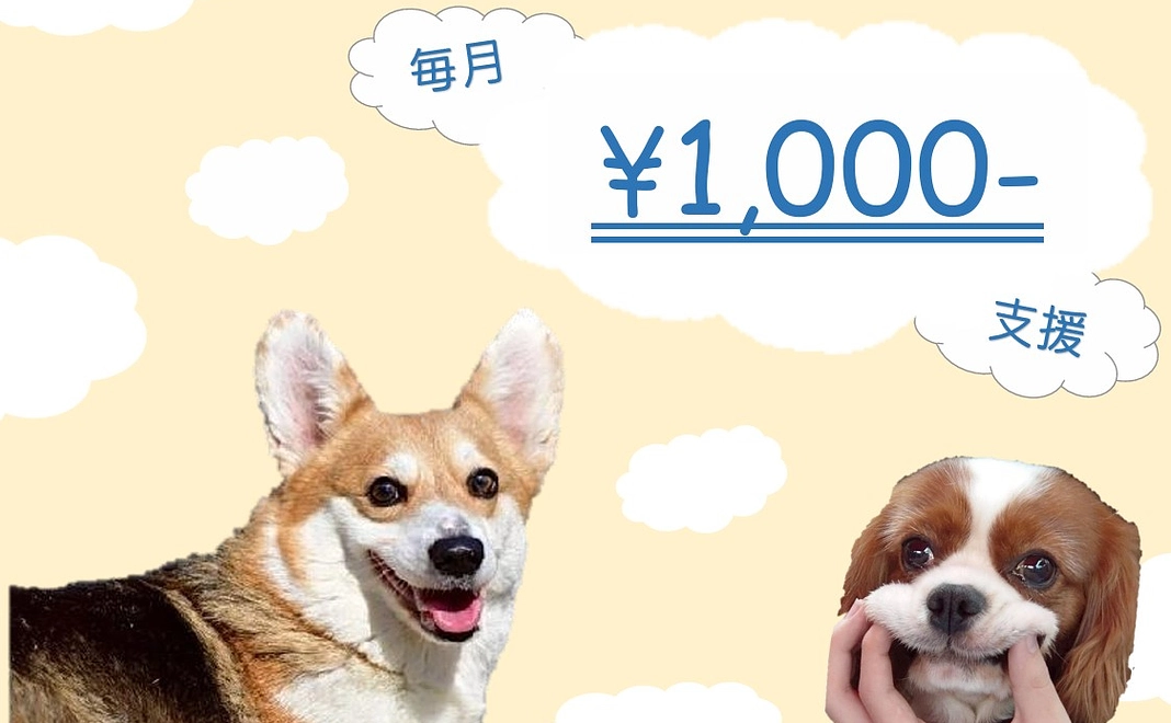 毎月1000円コース