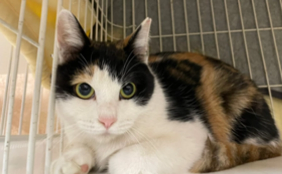 皆様の応援が集まり大きな力となります