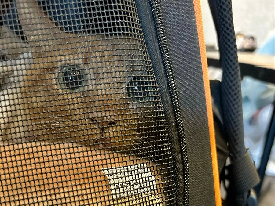 5/13     8回目の抗がん剤治療　2.95kg