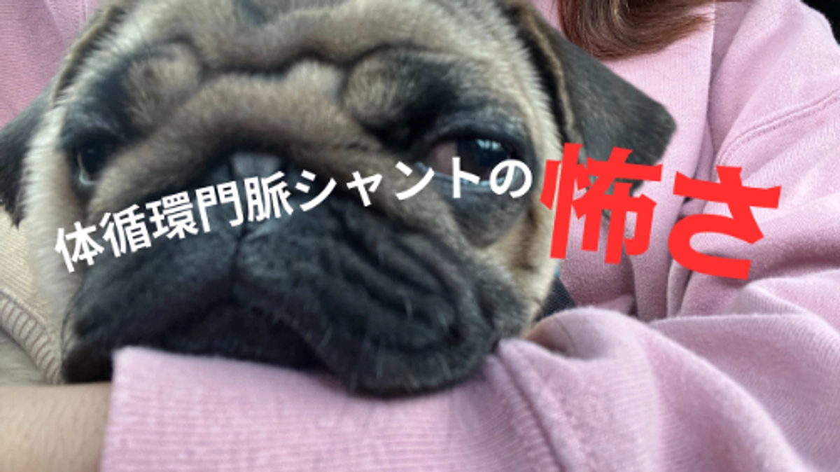 体循環門脈シャントの怖さ