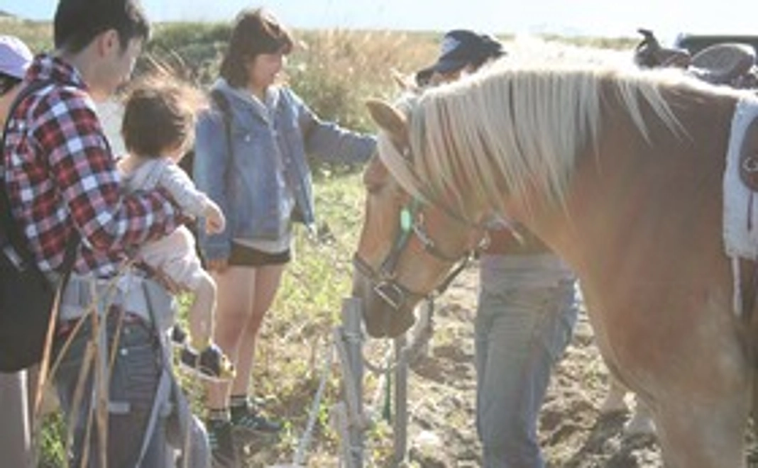 ドサンコとのふれあい体験