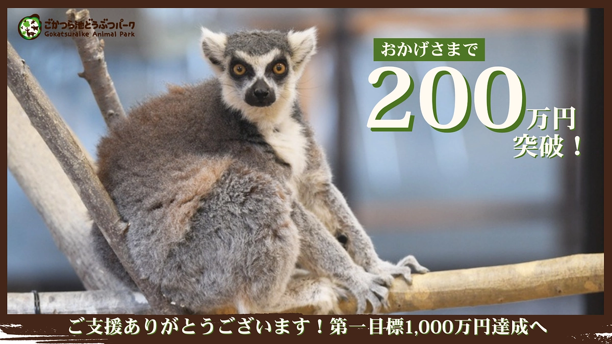 目標金額の20％を達成しました！！！