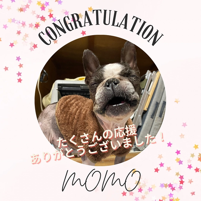 プロジェクト終了を迎えました🍑