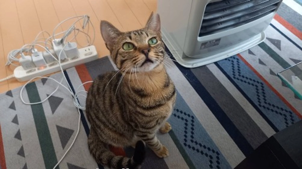 祝☆シュートくん