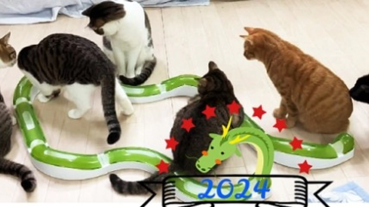 あけましておめでとうございます