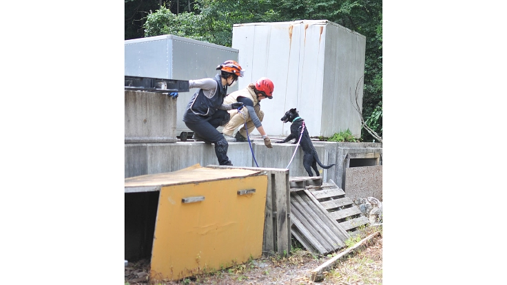 大切な人のもしもの時に!行方不明者を探す民間捜索犬を育てたい! 3枚目