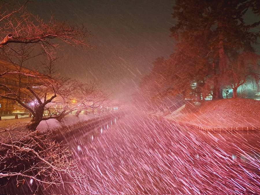 ここ数日は気温が上下しています。