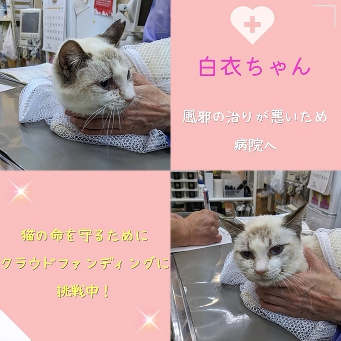 通院による皆勤⁉︎