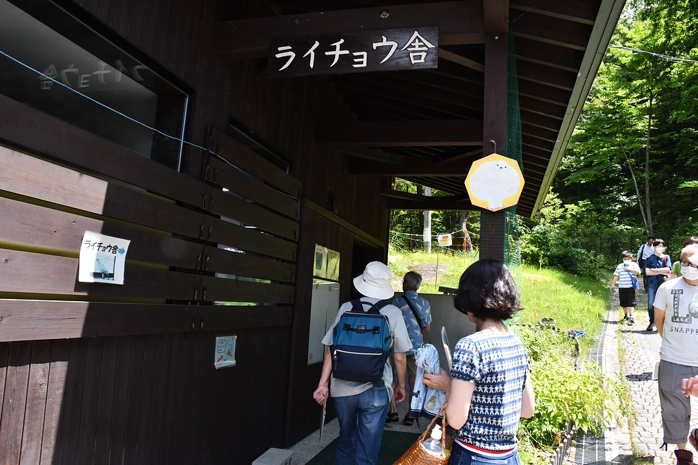 大町山岳博物館でライチョウ観察会を行いました！
