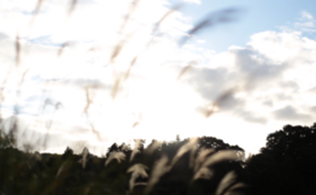 吉川町から感謝の気持ちを。