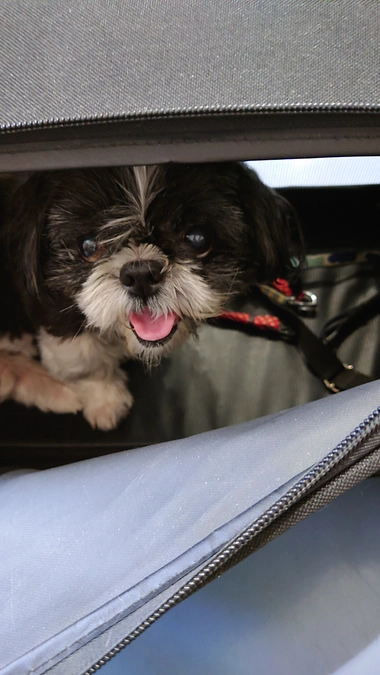 急遽検査しました。