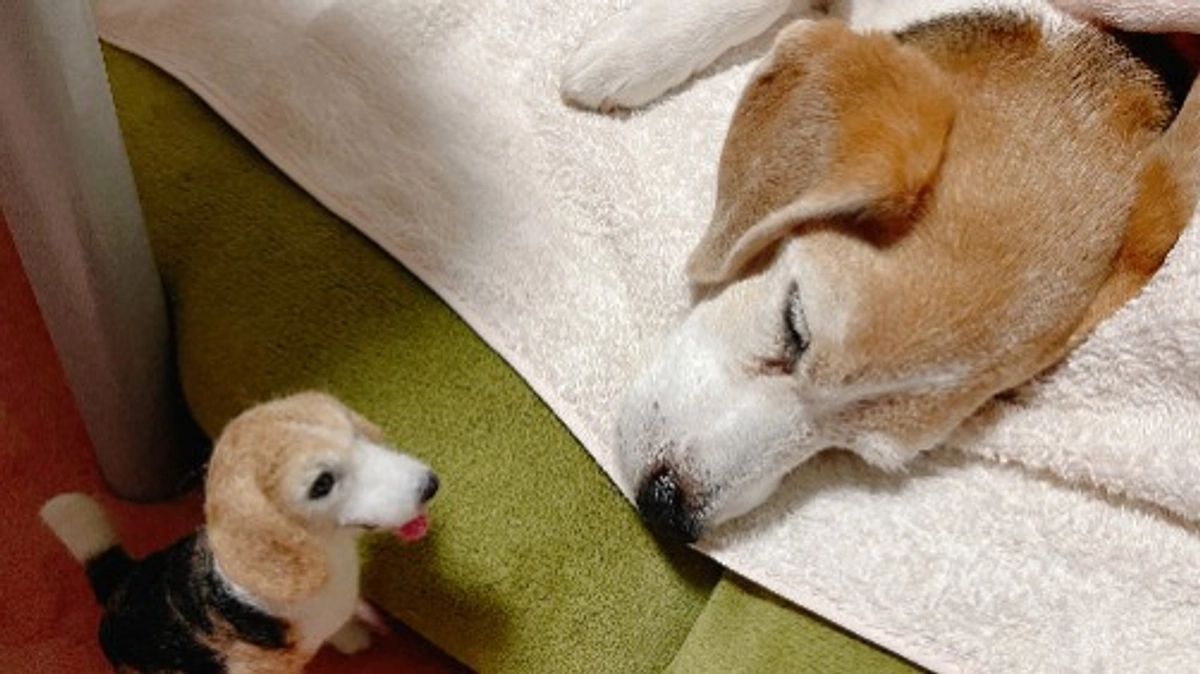 11/7 24時間介護を再開して1週間が経ちました。