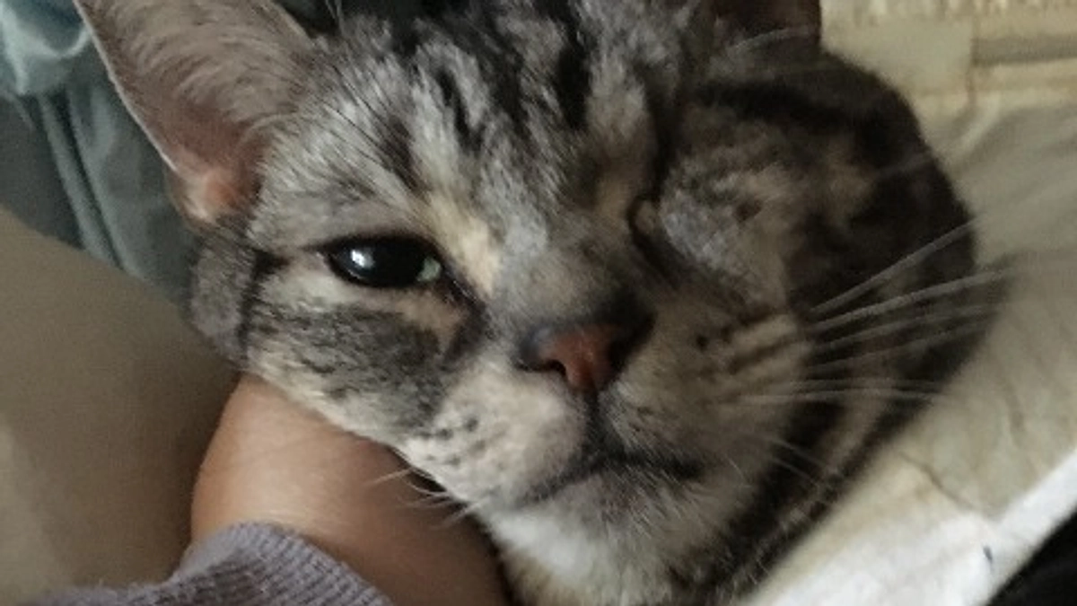 残り日数が僅かとなりました。