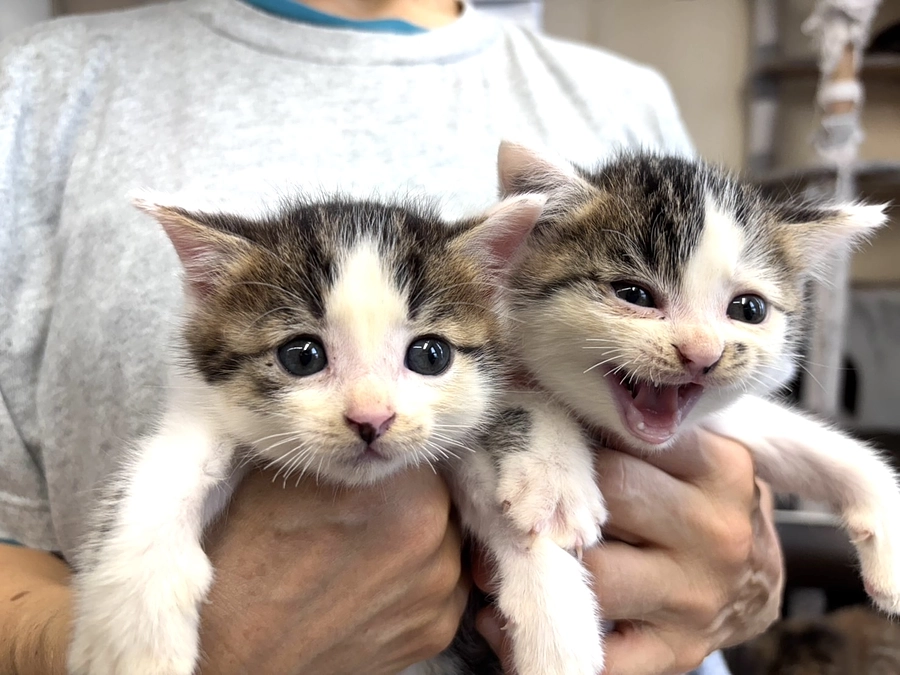 ２０２５年１０月『活動報告』