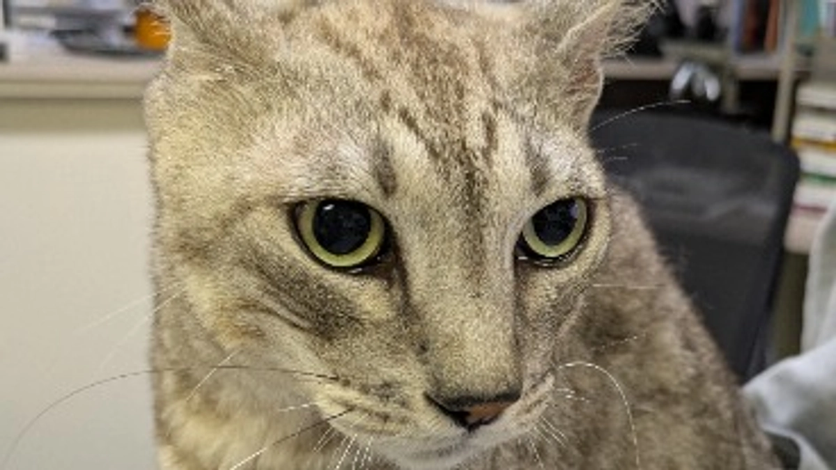 9/1日抗がん剤治療