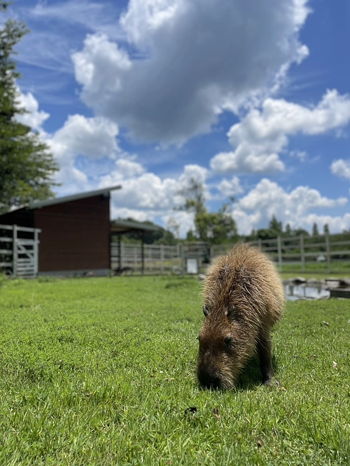 クラウドファンディング開始