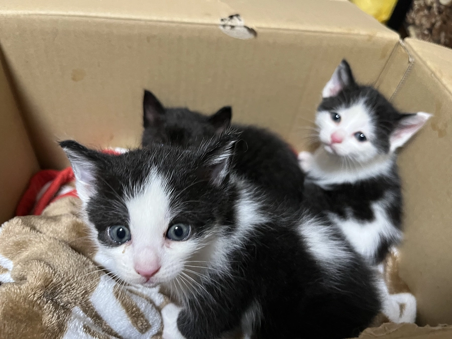 16日目の昼…わちゃわちゃ