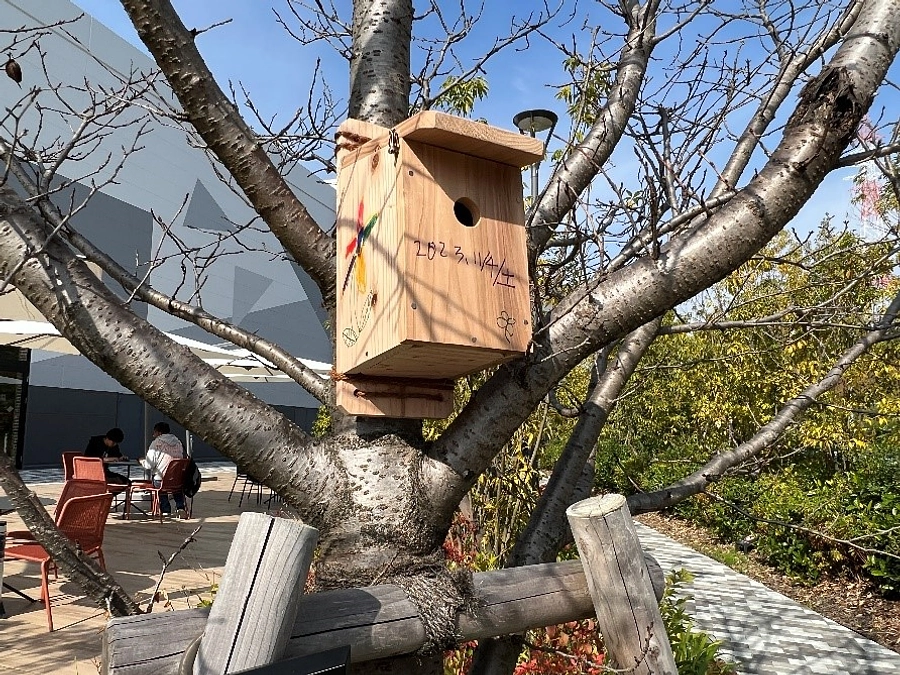 イオンモール土岐で巣箱づくりイベントを実施しました