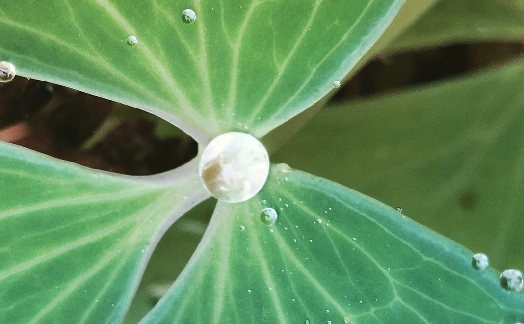 【返礼品なし】全力応援コース!!(5千円)