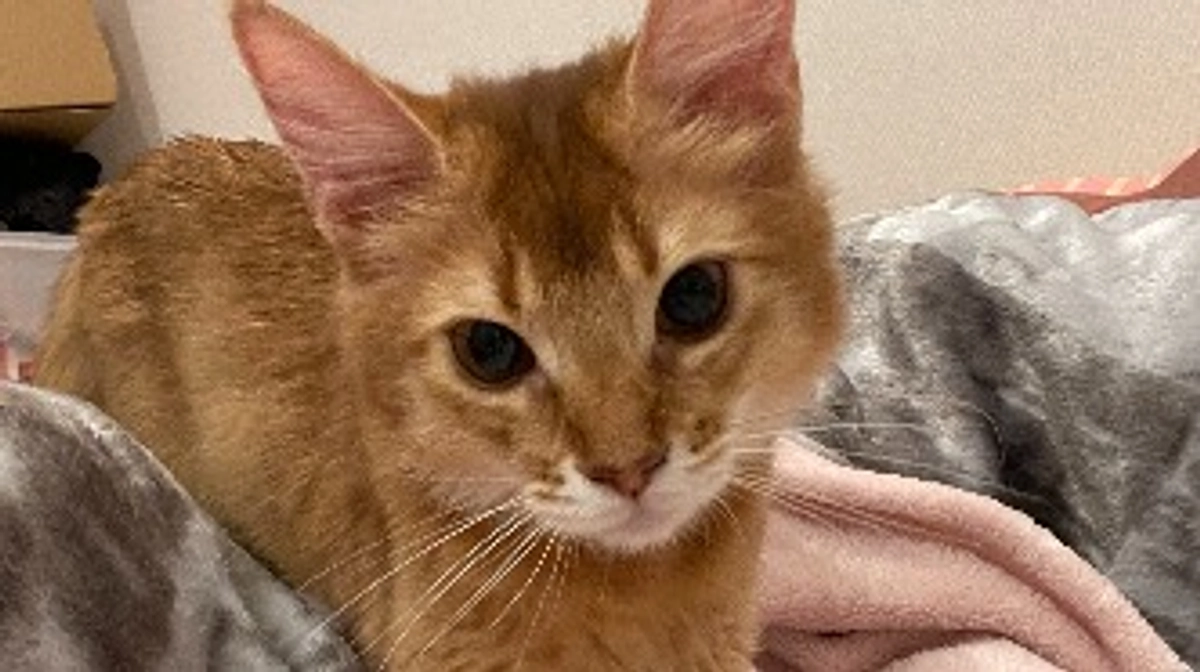 ★2023年11月28日：投薬70日目★ 