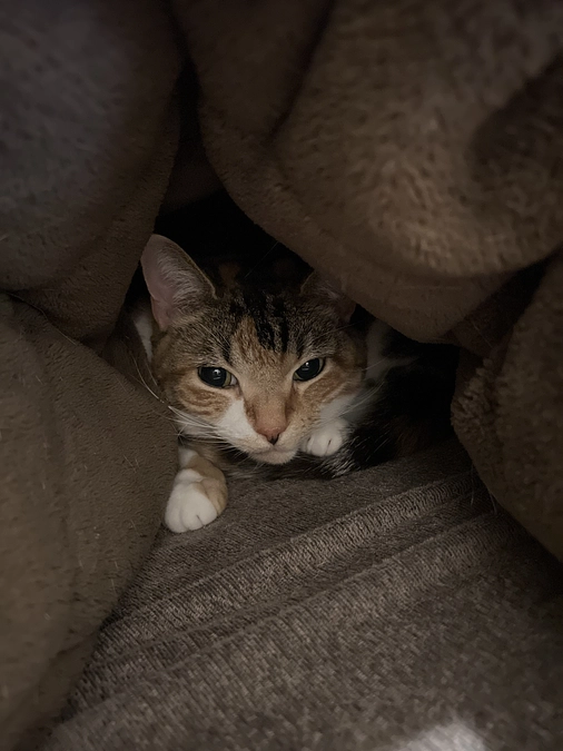 正直、油断していました…。