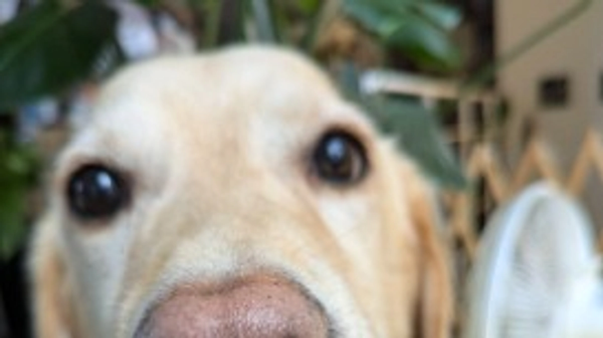 支援したいがご登録が出来ない方へ