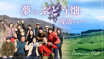 南アルプスの絶景ぶどう畑を復活し、日本ワインを世界のワインへ。 のトップ画像