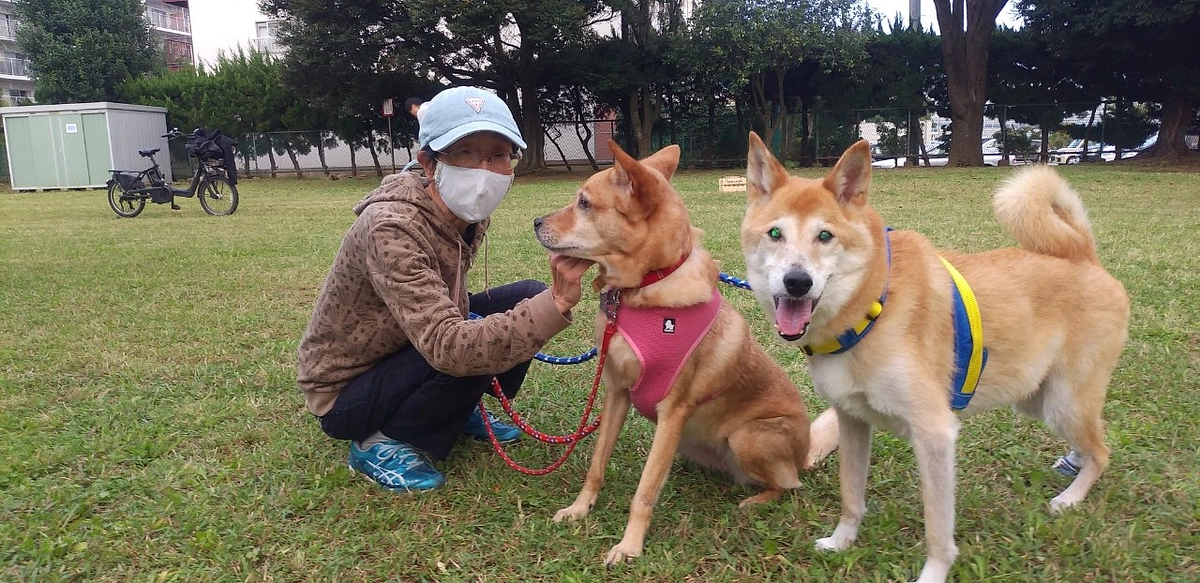 本日もボランティアさんからの応援メッセージをご紹介いたします！
