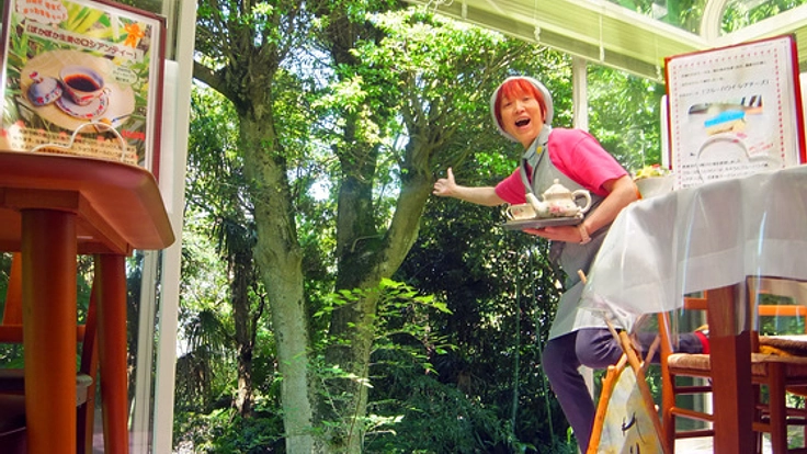 森を眺める紅茶カフェに、シンボルツリーハウスを造りたい！