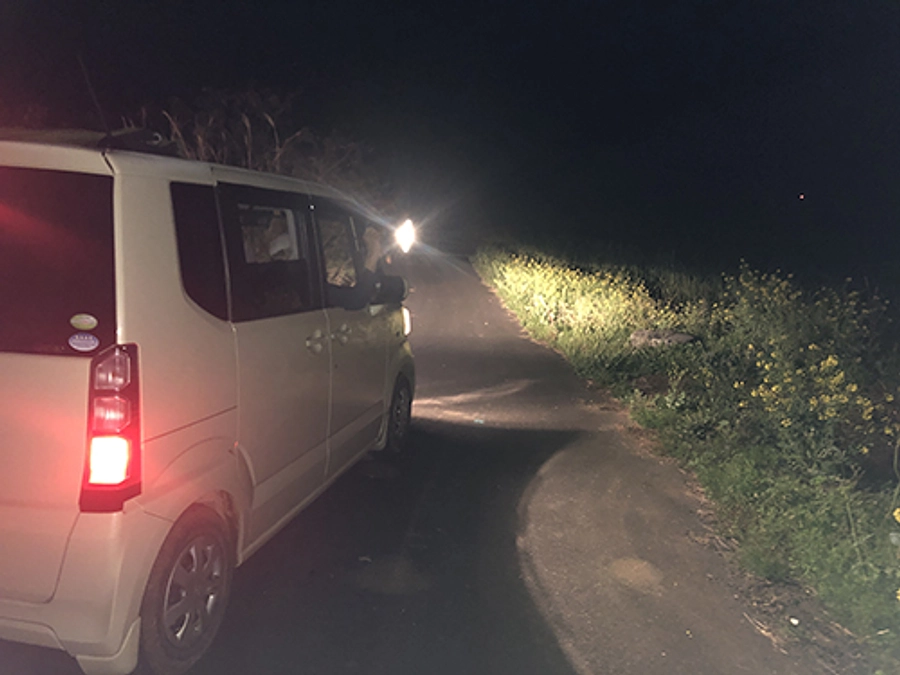 喜界島に行ってきました