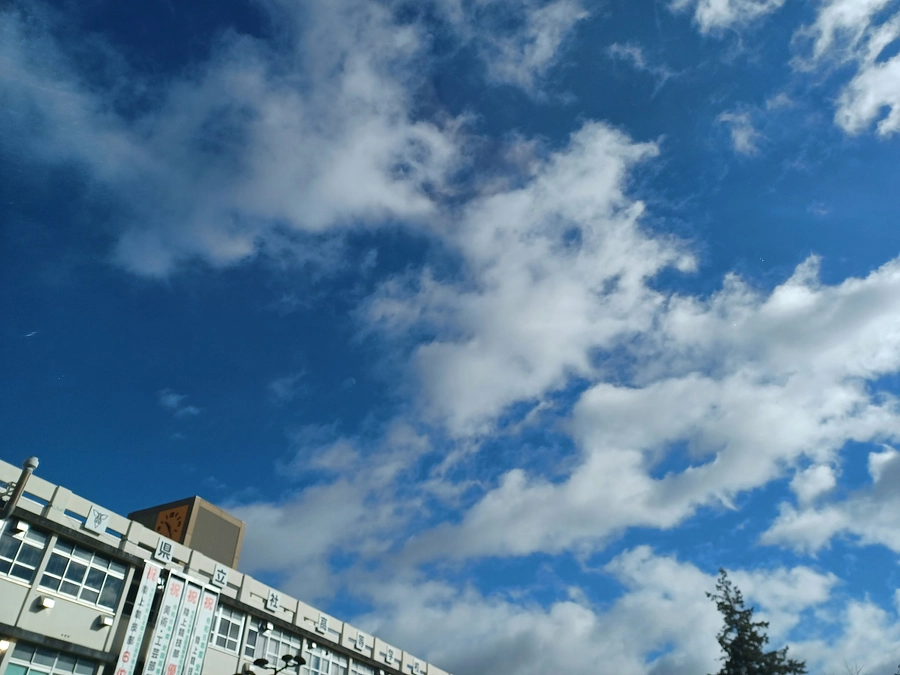 3日遅れのオープン報告