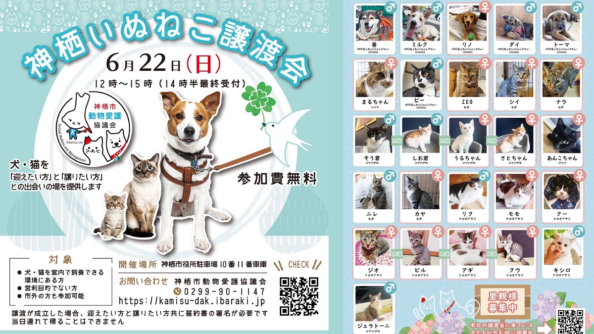 神栖市愛護動物協議会主催！第1回譲渡会を開催します！
