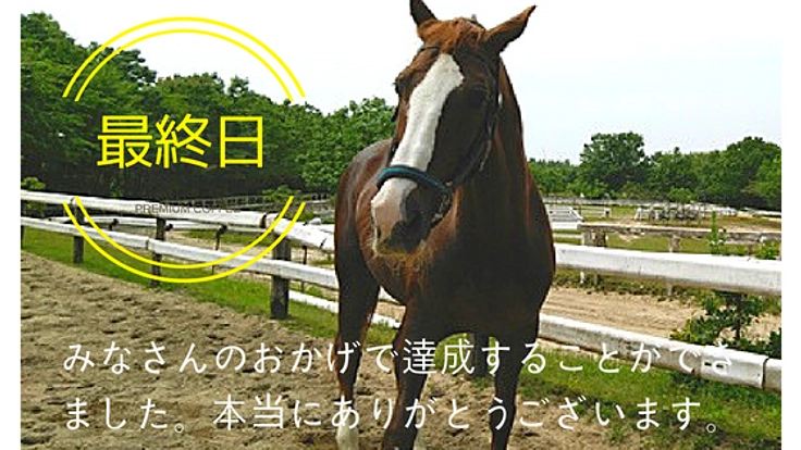 同じ思いはしたくない。２頭の引退馬を保護し長く活躍できる場を