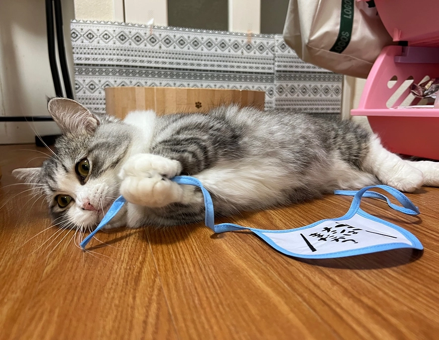 治療52日目のココロ