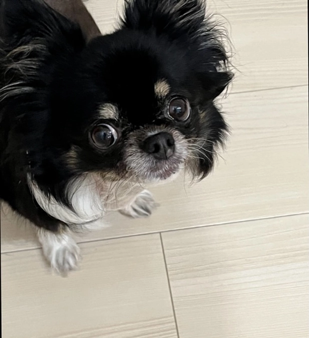 今日で10歳になりました