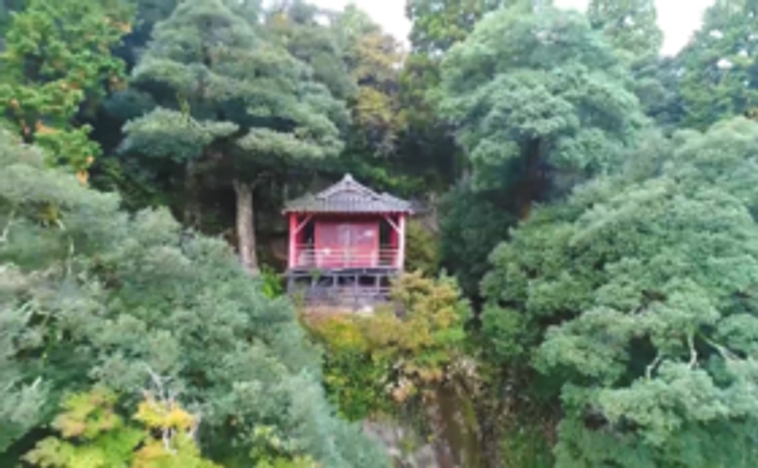 全力応援コース