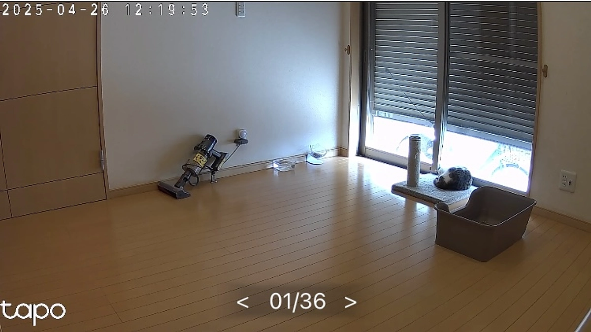 プロジェクト終了まで残り1日となりました