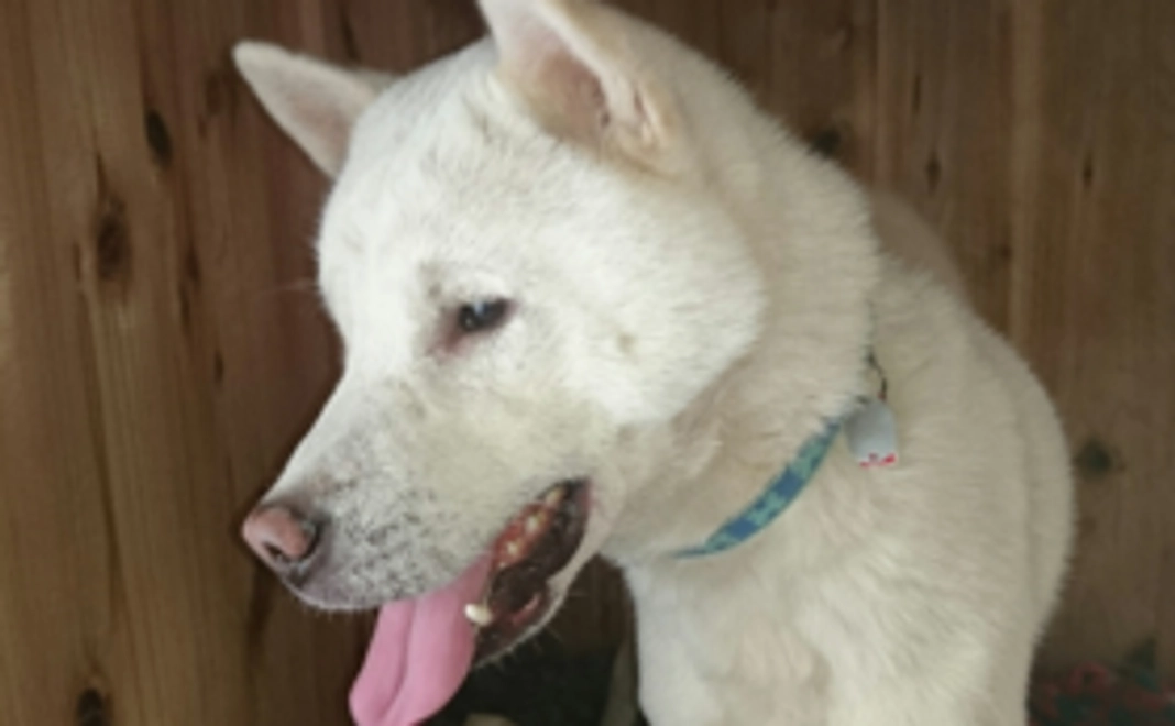 『君とずっと一緒にいたいから』絵本1冊