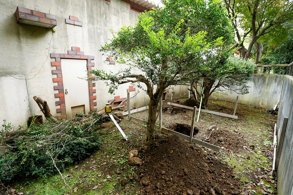 10月29日(火) レッサーパンダ舎の屋外展示場の改修工事開始のお知らせ、返礼品発送状況