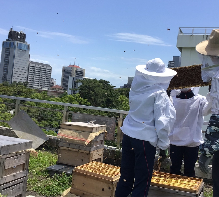 静岡から初参加－雙葉高等学校