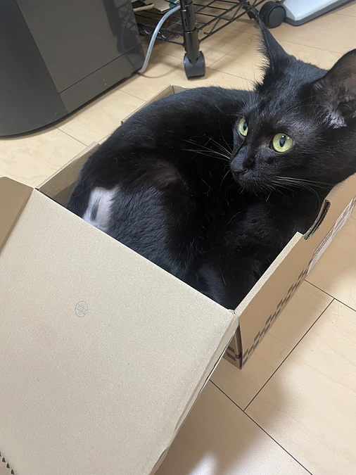 治療開始からおよそ2ヶ月が経ちました。