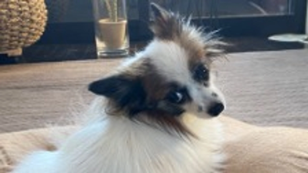 🌸繋いでくださった思い🌸