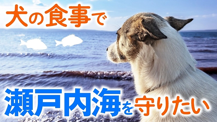 クロダイを使ったドッグフードで岡山県の養殖業を守りたい！（㈱ピュア
