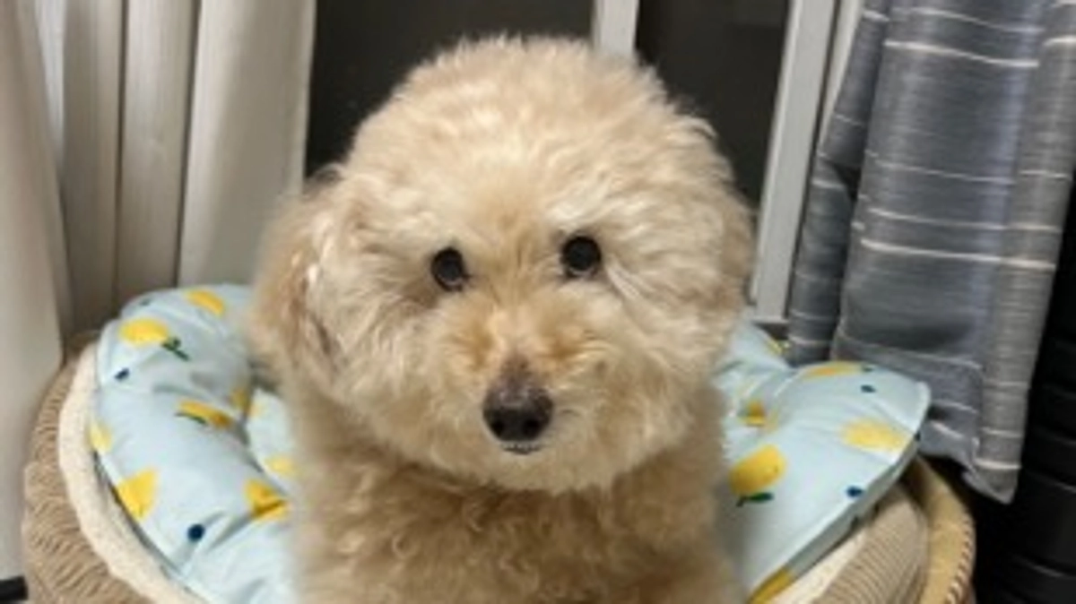 最近の体調について