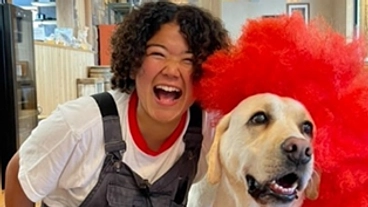 犬と遊びたい。これを将来の職業に! のトップ画像