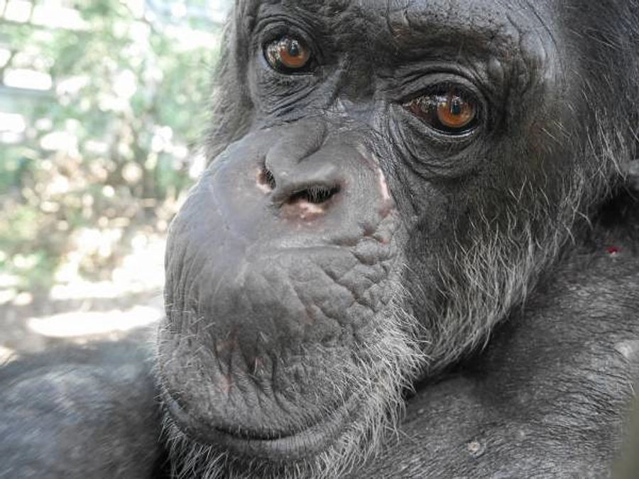 ススムの投薬が完了しました！