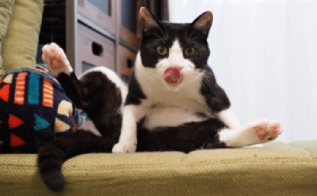 スタンダードB|【豪華なリターンはご不要な方へ】1万円応援コース